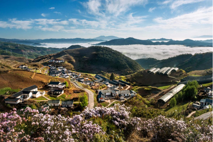 10 Z6尊龙官方网站电气集团科技兴农 助力凉山火普村打造数字乡村804.png